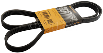 YS6E-6C301AB - Multirem 6R, 1613mm - Continental - Multirem