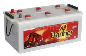TUDOR TE2253 - Batteri Banner Buffalo 225Ah - Banner - Batterier Fordon