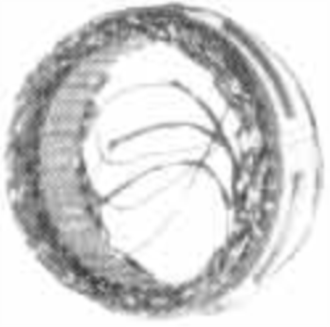 DR7982724 - Stator 12V-40A - Delco Remy Ersättning - Statorer