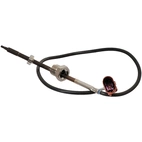 Avgastemperatur Sensor
