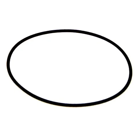 O-ring