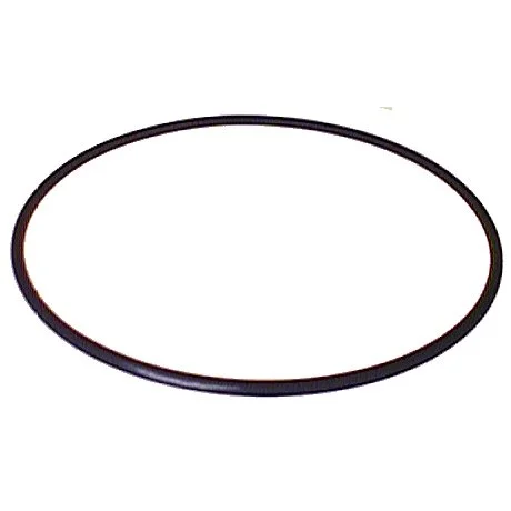 O-ring