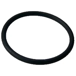 O-ring