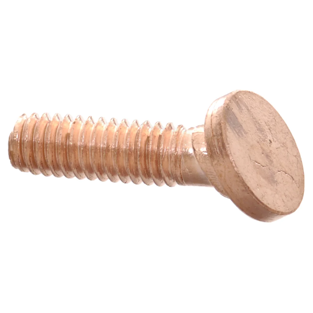 Terminalbult Chrysl. Stm.