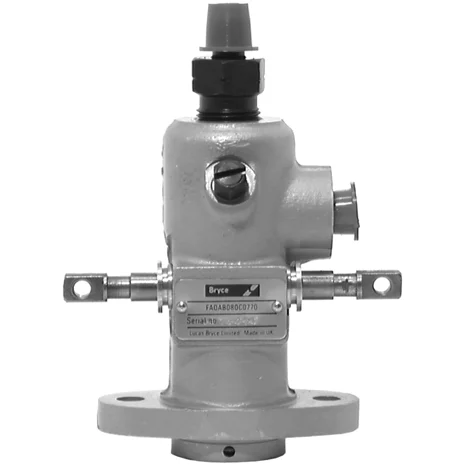 Bryce Lucas pump,FAOAB080C0770