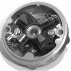 Gavel CE, U.T. Chrys. CP 52650