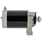 Briggs & S. Startm. 497596,16k