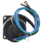 Tilt-Trim Motor Evinrude