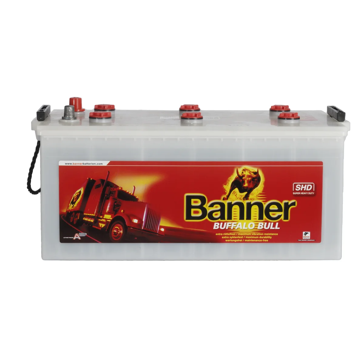 Batteri Banner Buffalo  225Ah